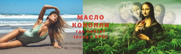 спиды Богородицк