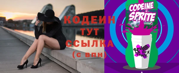 спиды Богородицк
