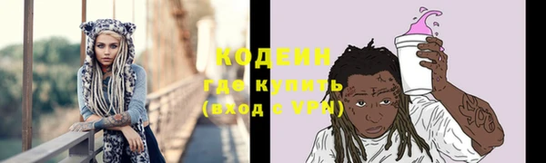 спиды Богородицк