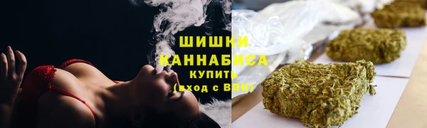 сатива Богородск