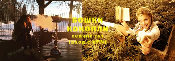 спиды Богородицк