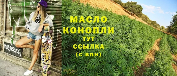спиды Богородицк