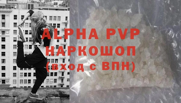 сатива Богданович