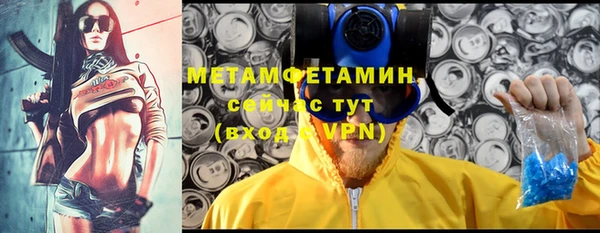 спиды Богородицк