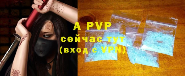 спиды Богородицк