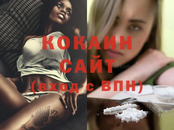 сатива Богданович
