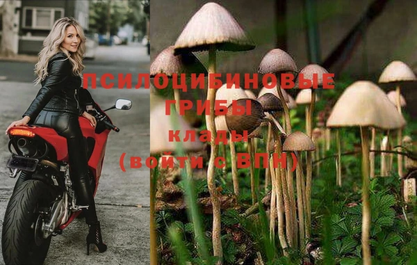 сатива Богданович
