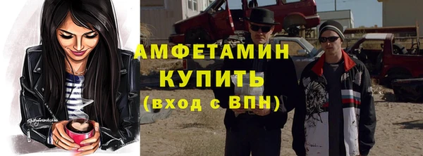 спиды Богородицк