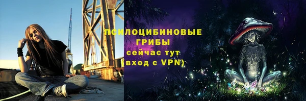 сатива Богородск