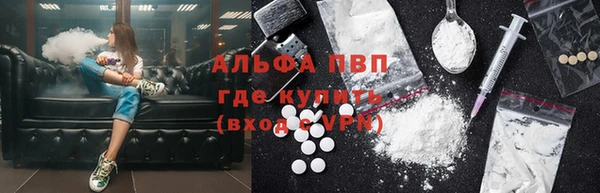 сатива Богданович